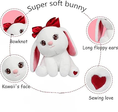 BUNNY RABBIT STUFF TOY (22 CM)
